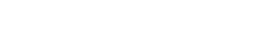 E-dever - The Technical Developer